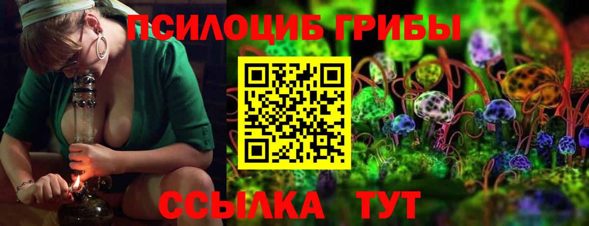 Псилоцибиновые грибы мицелий Иваново