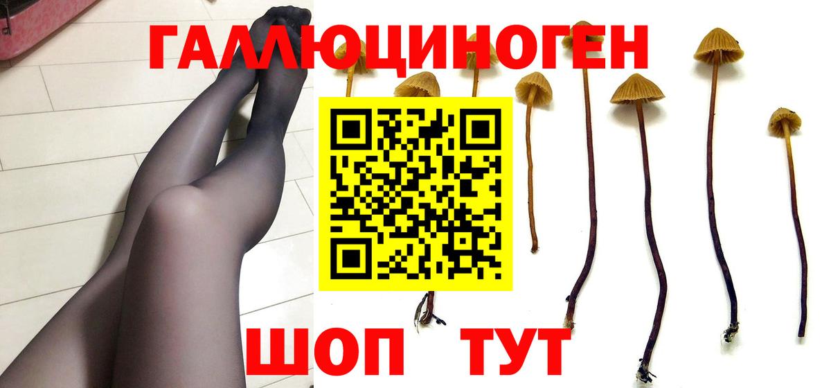 что такое   Псилоцибиновые грибы мухоморы  Вход с VPN  Иваново 